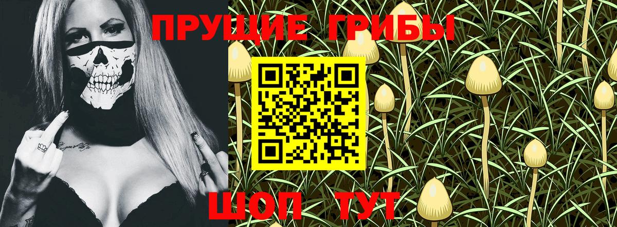 Галлюциногенные грибы Magic Shrooms  Псилоцибиновые грибы Psilocybe  Саратов  Вход с VPN 